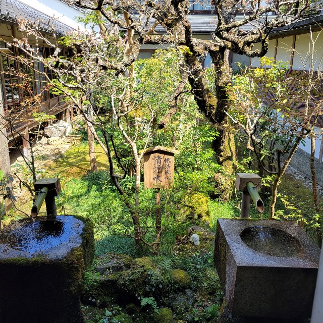 f:id:atoriatoriatori:20220423110055j:image