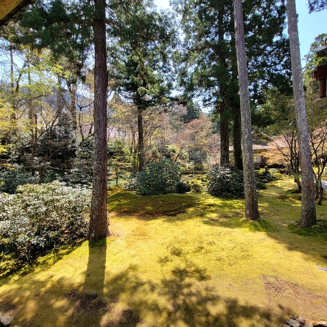 f:id:atoriatoriatori:20220423110102j:image