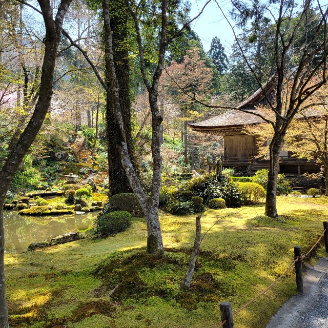 f:id:atoriatoriatori:20220423110858j:image