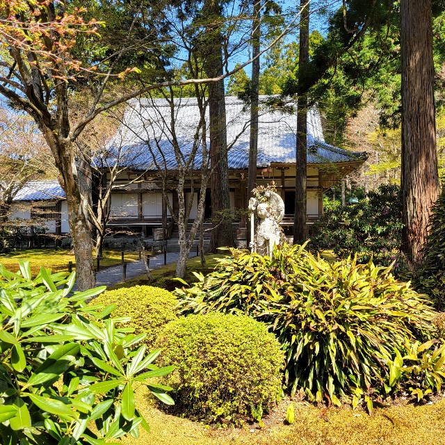 f:id:atoriatoriatori:20220423112151j:image