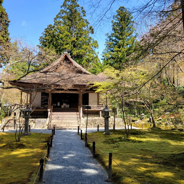 f:id:atoriatoriatori:20220423112201j:image