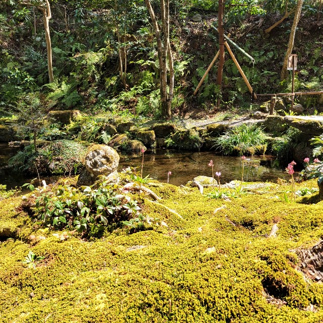 f:id:atoriatoriatori:20220423144046j:image