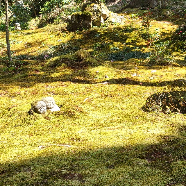 f:id:atoriatoriatori:20220423144101j:image