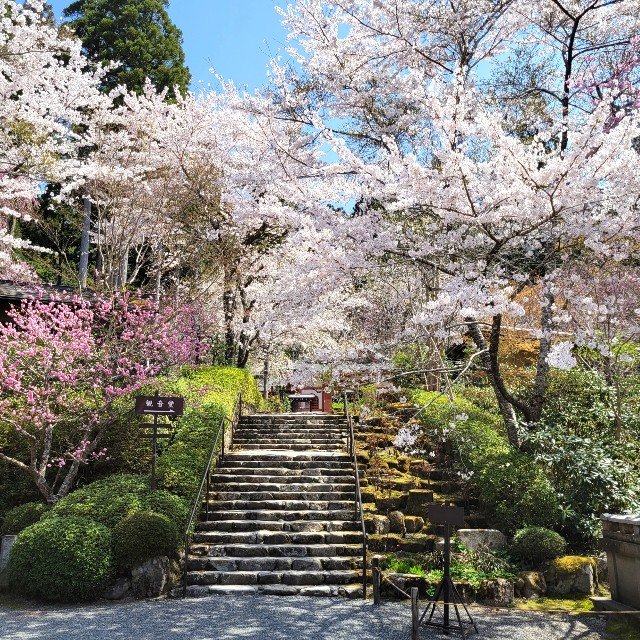 f:id:atoriatoriatori:20220423170437j:image