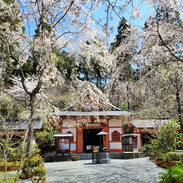 f:id:atoriatoriatori:20220423170740j:image