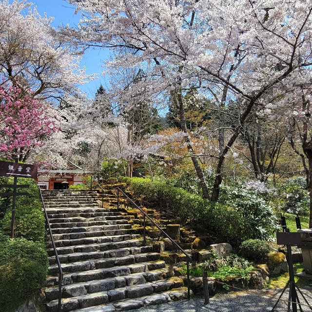 f:id:atoriatoriatori:20220423171509j:image