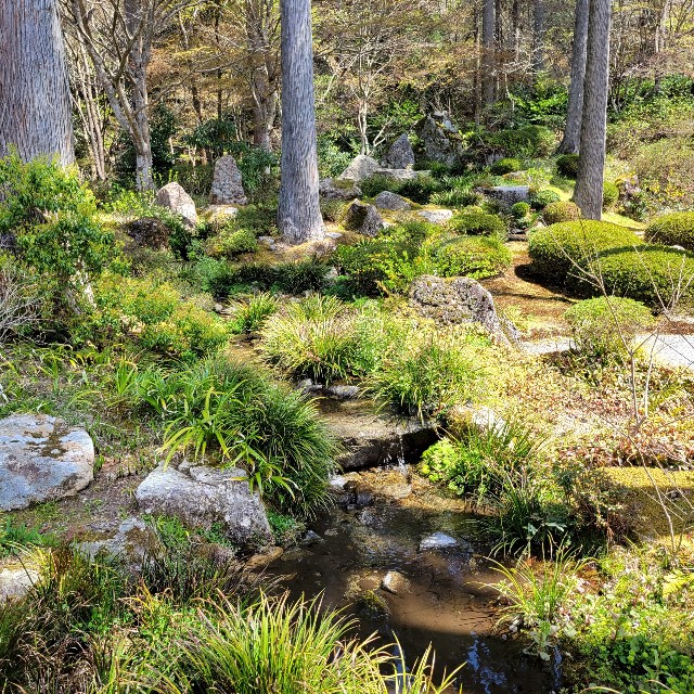 f:id:atoriatoriatori:20220423171542j:image