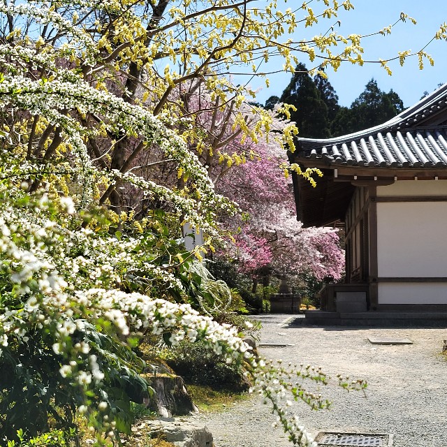 f:id:atoriatoriatori:20220423182341j:image