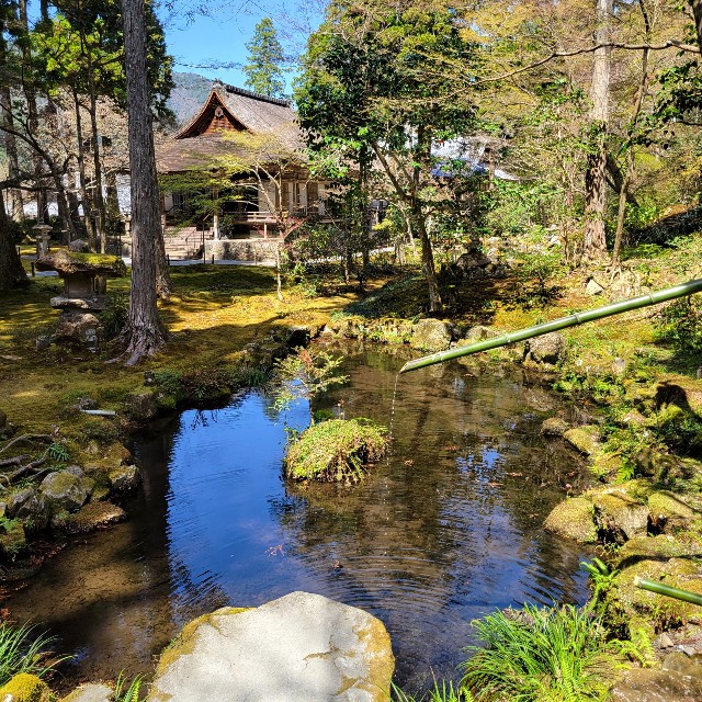 f:id:atoriatoriatori:20220423182604j:image