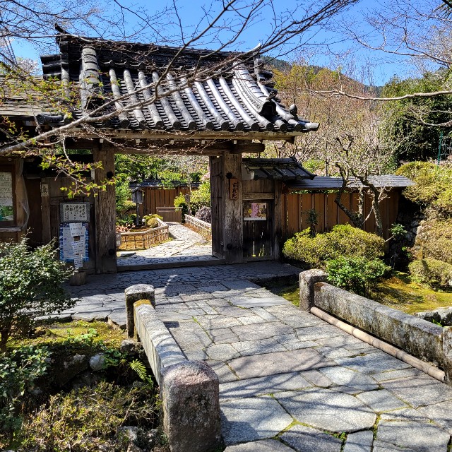 f:id:atoriatoriatori:20220424102808j:image