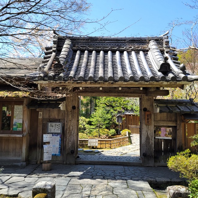 f:id:atoriatoriatori:20220424102815j:image