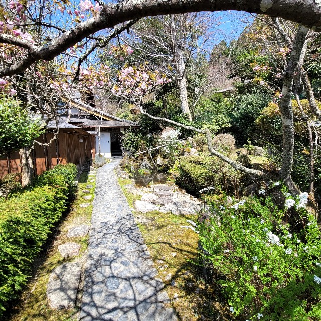 f:id:atoriatoriatori:20220424120002j:image
