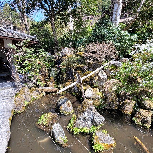 f:id:atoriatoriatori:20220424120212j:image