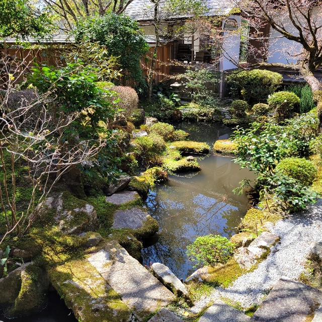 f:id:atoriatoriatori:20220424202019j:image