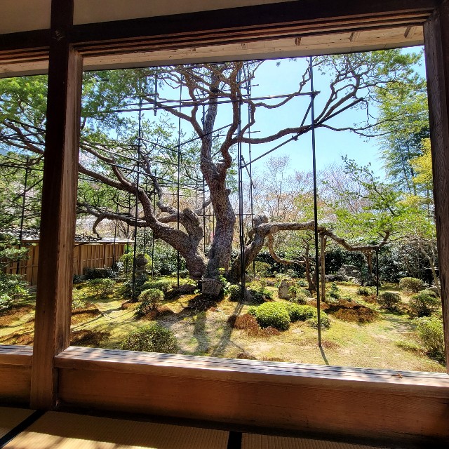 f:id:atoriatoriatori:20220424202047j:image