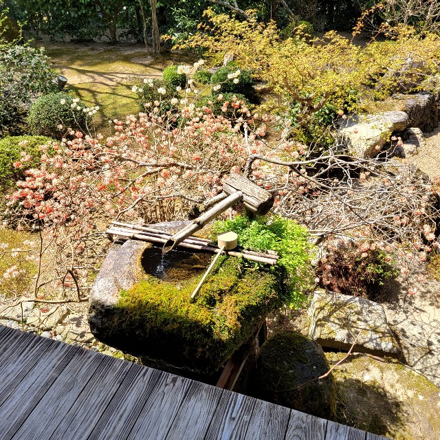 f:id:atoriatoriatori:20220424202057j:image