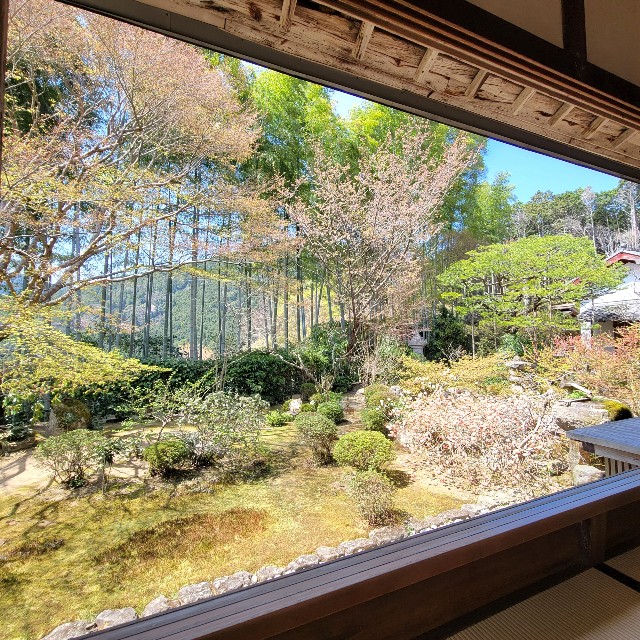 f:id:atoriatoriatori:20220424220934j:image