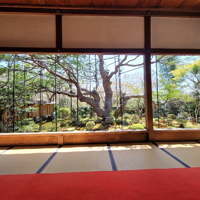 f:id:atoriatoriatori:20220425184303j:image