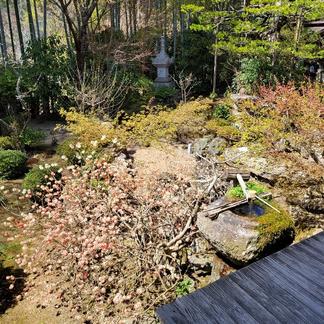f:id:atoriatoriatori:20220425185340j:image