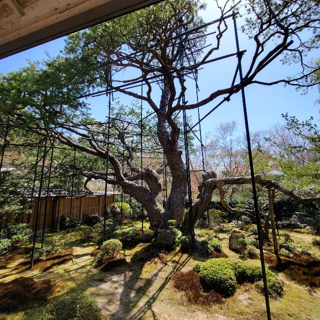 f:id:atoriatoriatori:20220425190208j:image