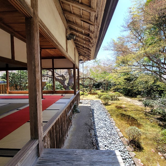 f:id:atoriatoriatori:20220425190217j:image