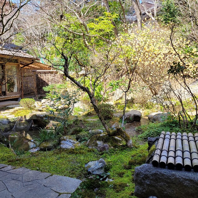 f:id:atoriatoriatori:20220425205407j:image