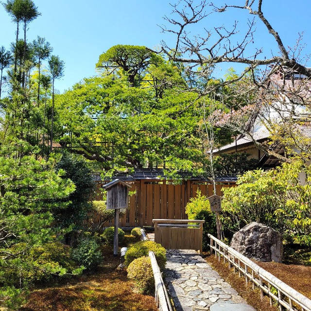 f:id:atoriatoriatori:20220425210108j:image