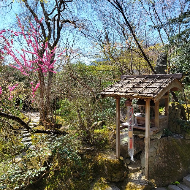 f:id:atoriatoriatori:20220425210129j:image