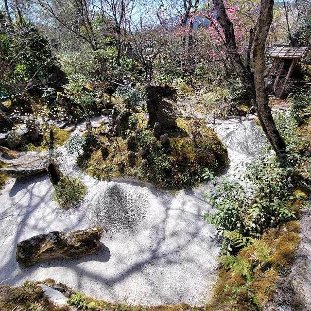 f:id:atoriatoriatori:20220425210135j:image