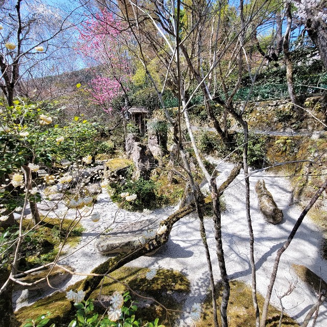 f:id:atoriatoriatori:20220425210149j:image