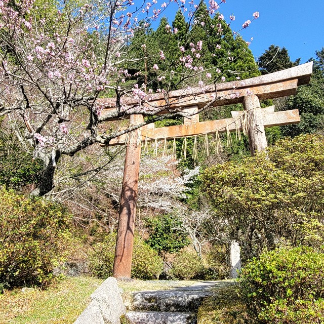 京都 大原 出世稲荷神社 に行ってきました 京都観光 そうだ京都行こう あとりのやっぱり が好き