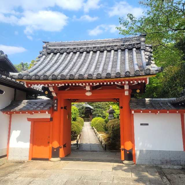 f:id:atoriatoriatori:20220505091547j:image