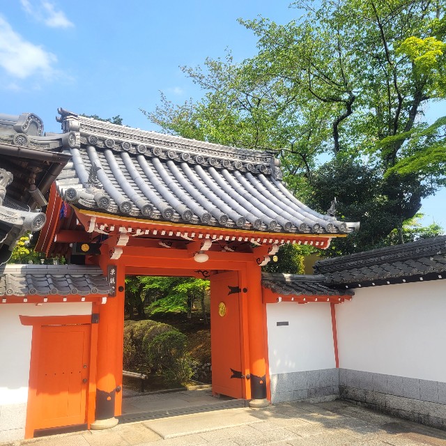 f:id:atoriatoriatori:20220505091555j:image