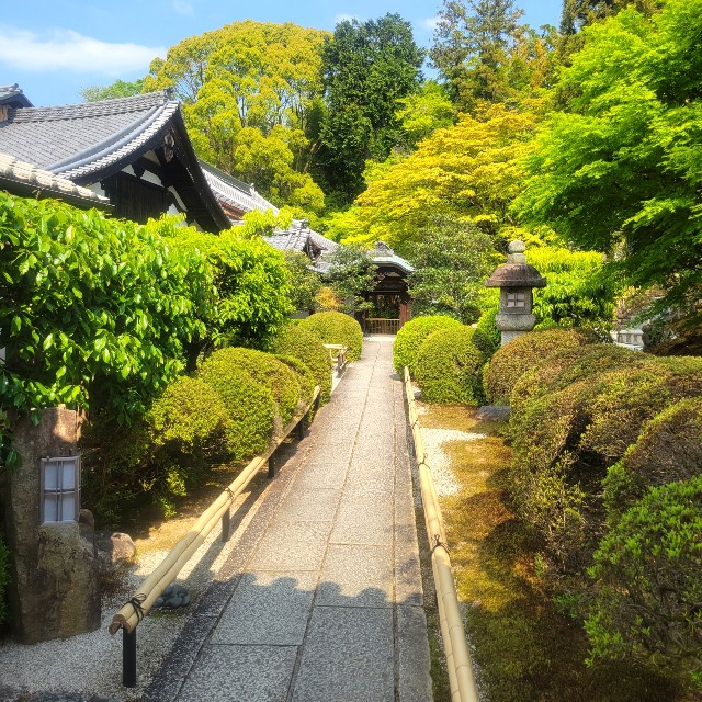 f:id:atoriatoriatori:20220505091727j:image