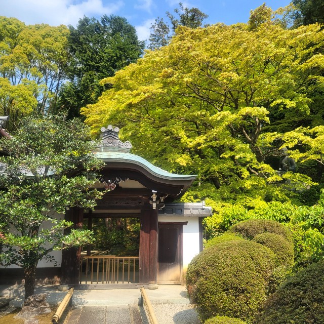 f:id:atoriatoriatori:20220505091735j:image