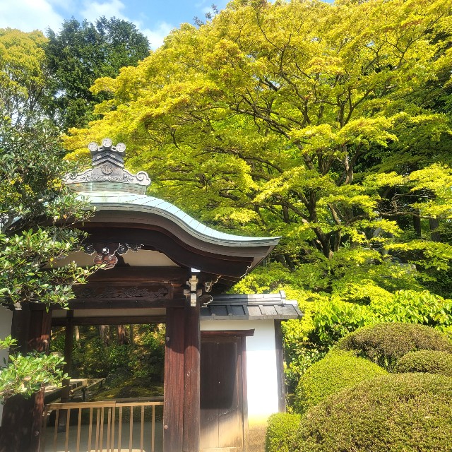 f:id:atoriatoriatori:20220505092337j:image