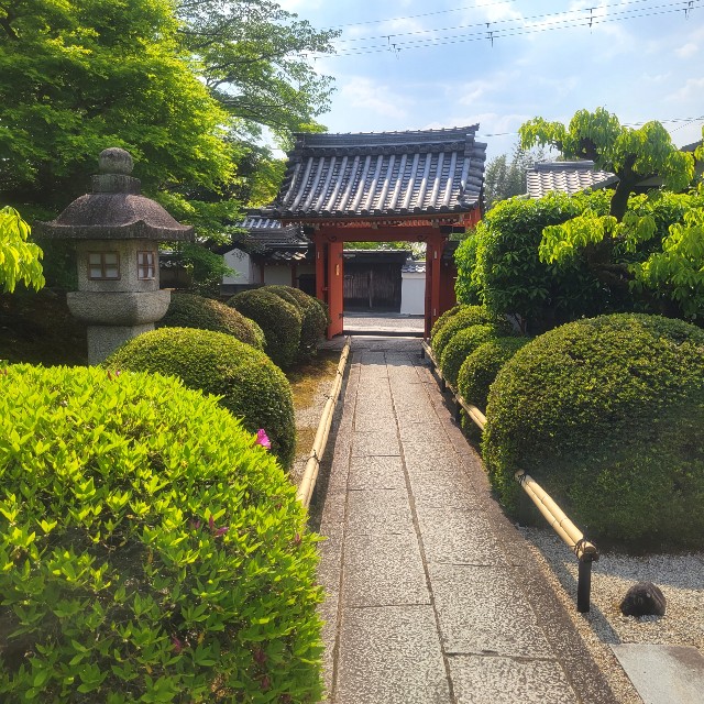 f:id:atoriatoriatori:20220505092350j:image