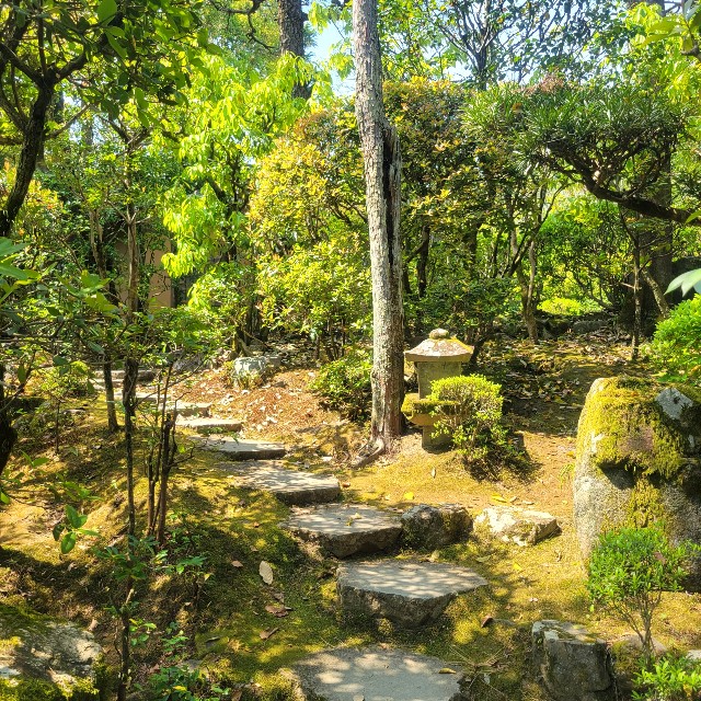 f:id:atoriatoriatori:20220507104208j:image