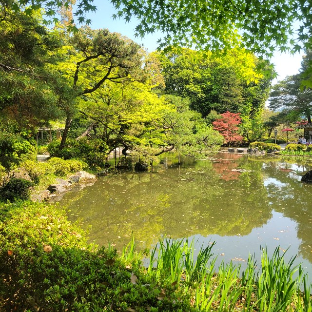 f:id:atoriatoriatori:20220507104514j:image