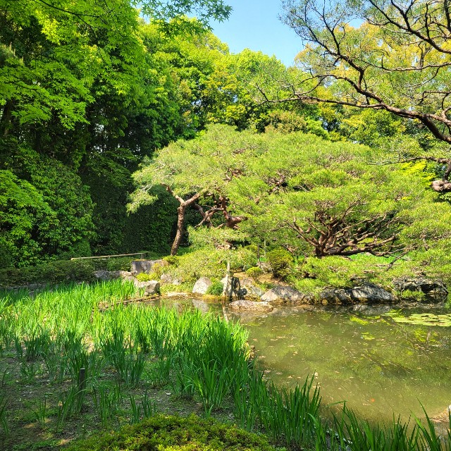 f:id:atoriatoriatori:20220507104532j:image