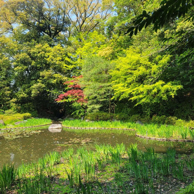 f:id:atoriatoriatori:20220507104844j:image