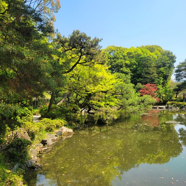f:id:atoriatoriatori:20220507112016j:image