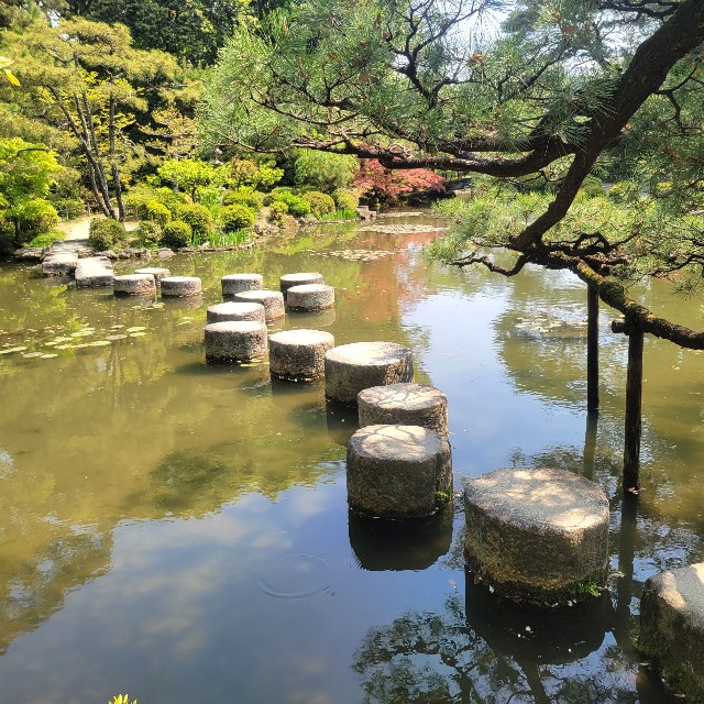 f:id:atoriatoriatori:20220507112026j:image