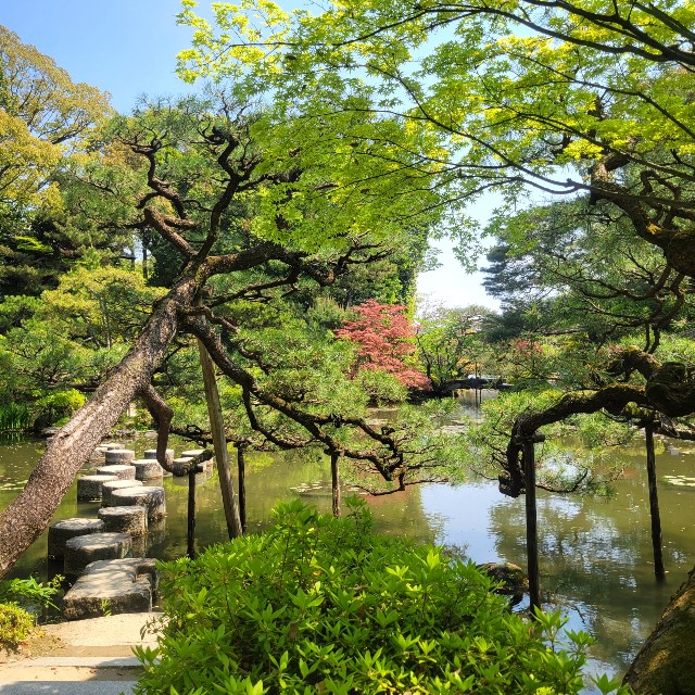 f:id:atoriatoriatori:20220507112032j:image