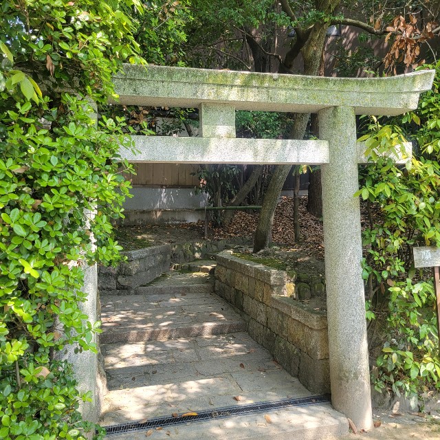 f:id:atoriatoriatori:20220507112107j:image