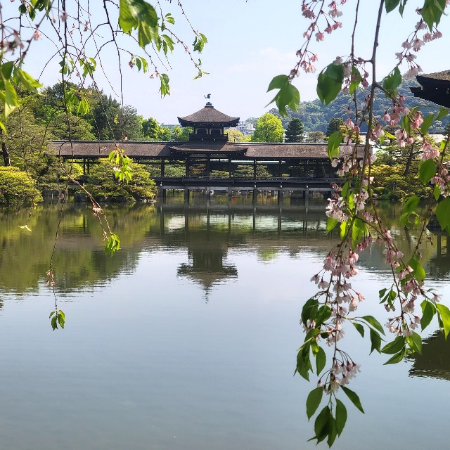f:id:atoriatoriatori:20220507154420j:image