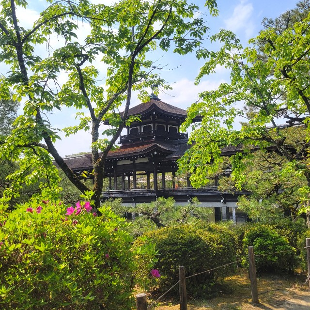 f:id:atoriatoriatori:20220507160631j:image