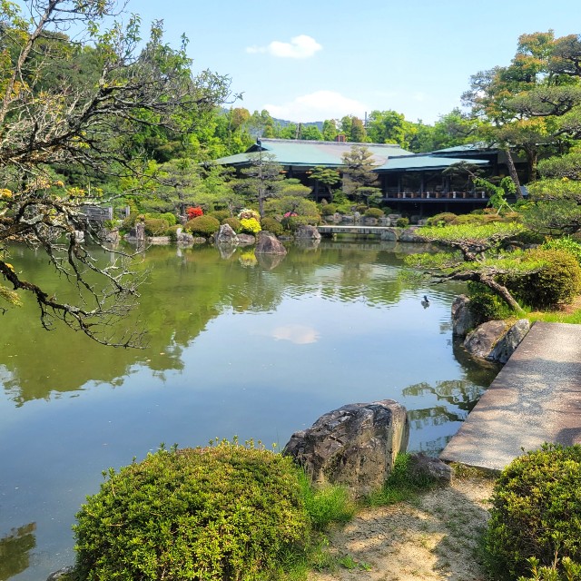 f:id:atoriatoriatori:20220507161158j:image
