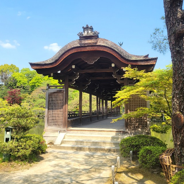 f:id:atoriatoriatori:20220507161639j:image