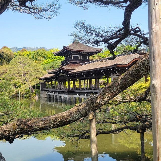 f:id:atoriatoriatori:20220507161647j:image